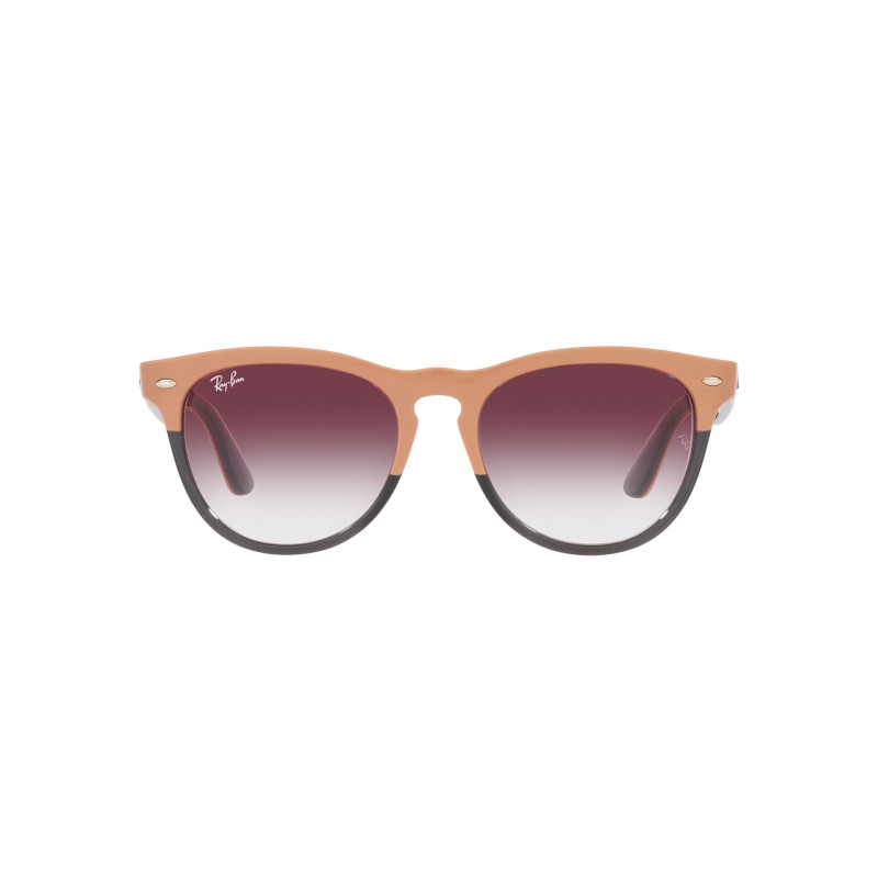 Gafas de sol RB4471 IRIS