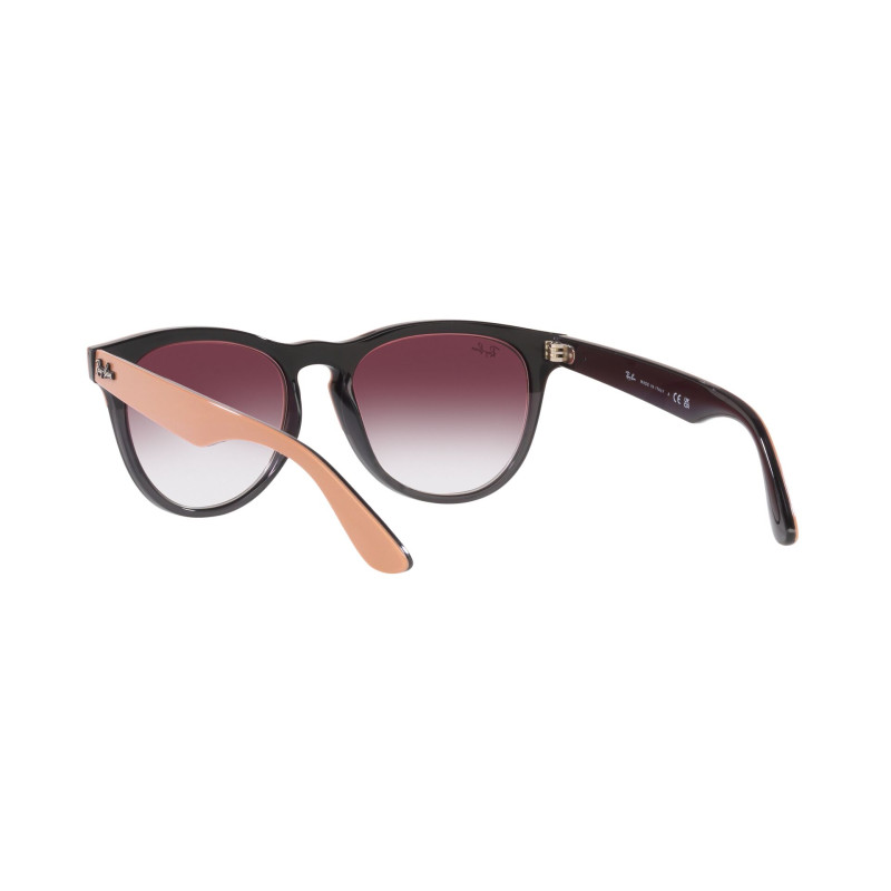 Gafas de sol RB4471 IRIS