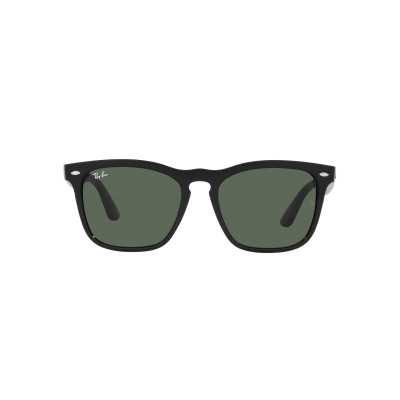Gafas de sol RB4487 STEVE