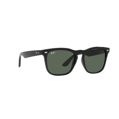 Gafas de sol RB4487 STEVE