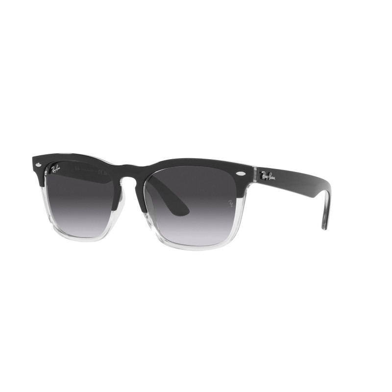 Gafas de sol RB4487 STEVE
