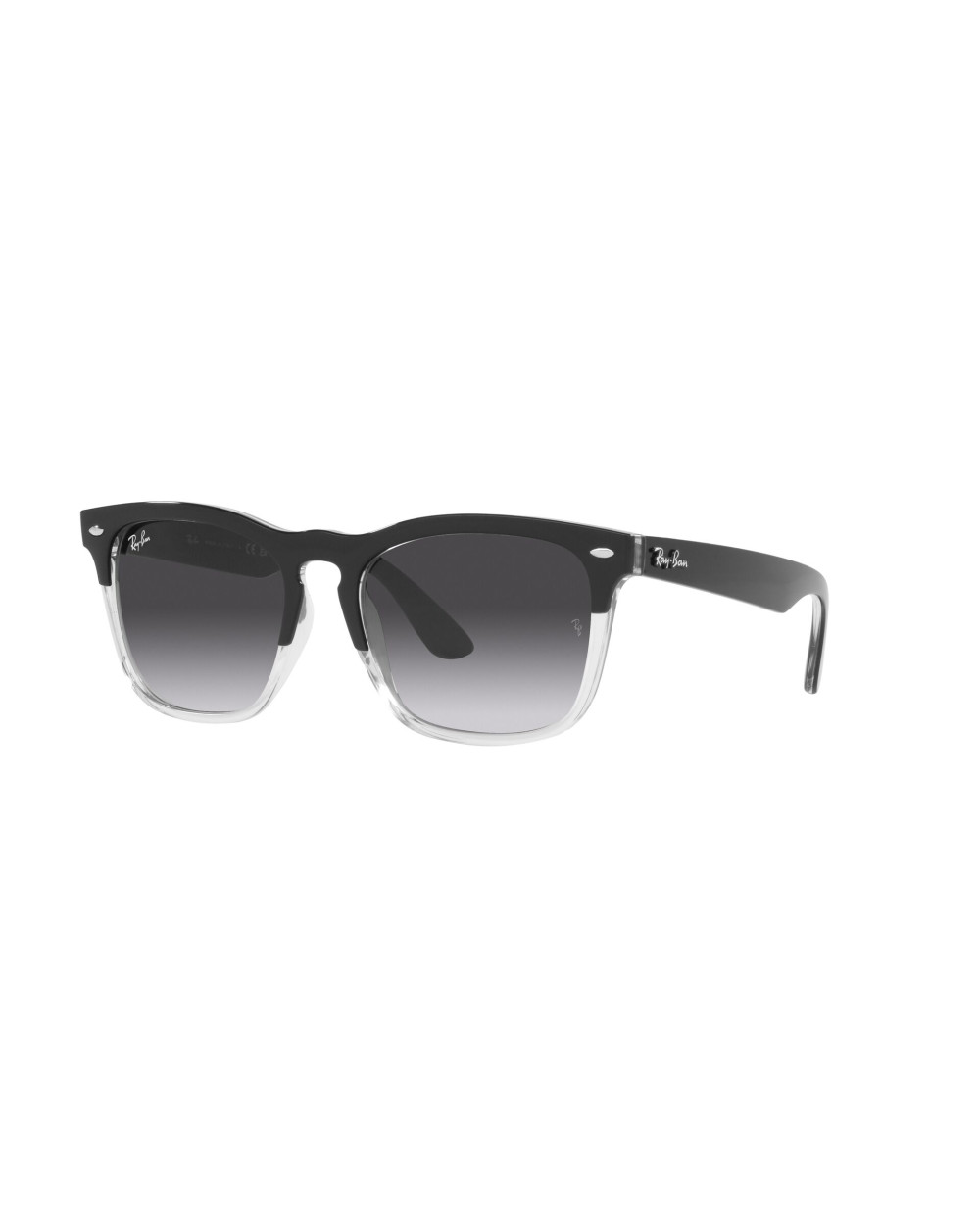 Gafas de sol RB4487 STEVE