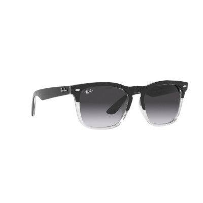 Gafas de sol RB4487 STEVE