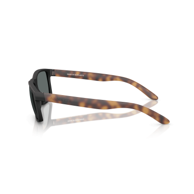 ARNETTE AN4185 SLICKSTER