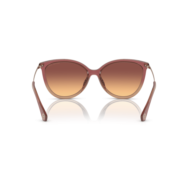 MICHAEL KORS MK2184U