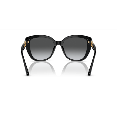 EMPORIO ARMANI EA4214U