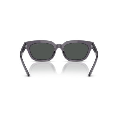 EMPORIO ARMANI EA4233U