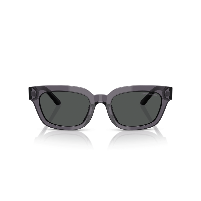 EMPORIO ARMANI EA4233U