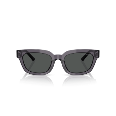 EMPORIO ARMANI EA4233U