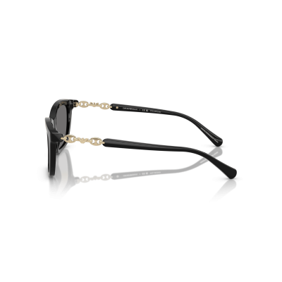 EMPORIO ARMANI EA4238