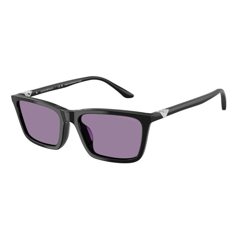 EMPORIO ARMANI EA4239U