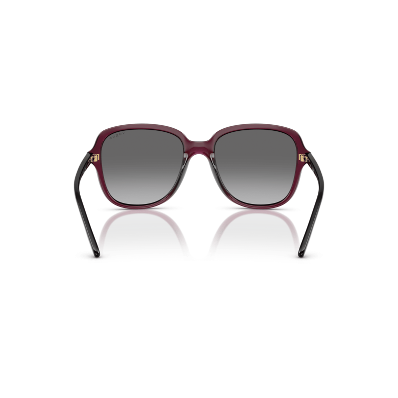 VOGUE VO5601S
